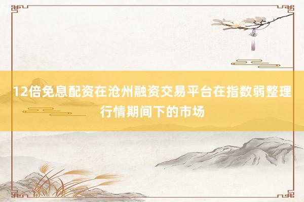 12倍免息配资在沧州融资交易平台在指数弱整理行情期间下的市场