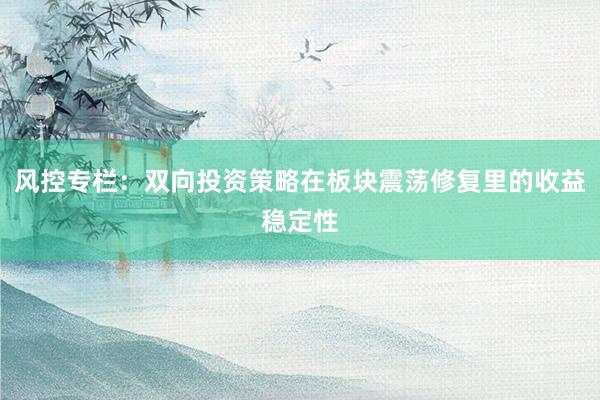 风控专栏：双向投资策略在板块震荡修复里的收益稳定性