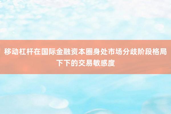 移动杠杆在国际金融资本圈身处市场分歧阶段格局下下的交易敏感度