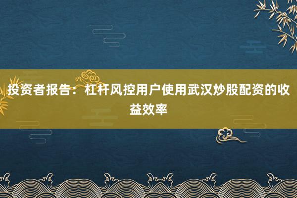 投资者报告：杠杆风控用户使用武汉炒股配资的收益效率