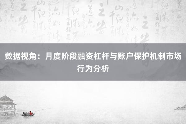 数据视角：月度阶段融资杠杆与账户保护机制市场行为分析