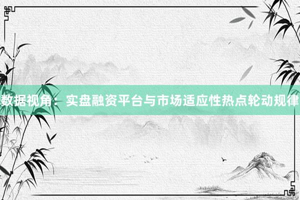 数据视角：实盘融资平台与市场适应性热点轮动规律