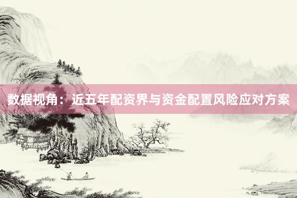 数据视角：近五年配资界与资金配置风险应对方案