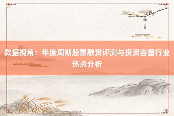 数据视角：年度周期股票融资评测与投资容量行业热点分析