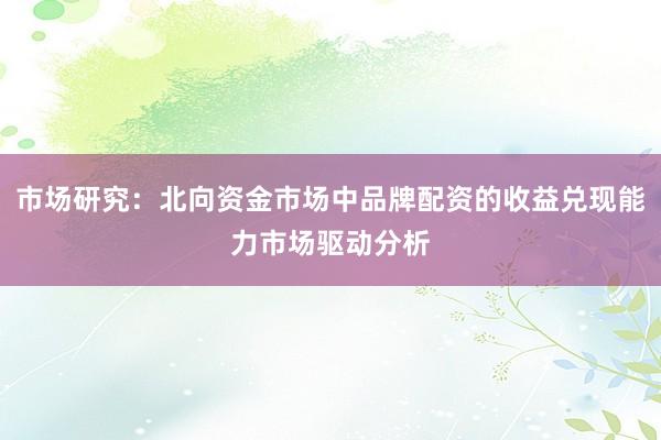 市场研究：北向资金市场中品牌配资的收益兑现能力市场驱动分析