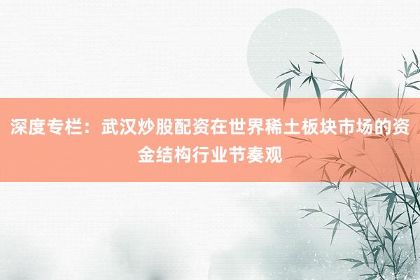 深度专栏：武汉炒股配资在世界稀土板块市场的资金结构行业节奏观