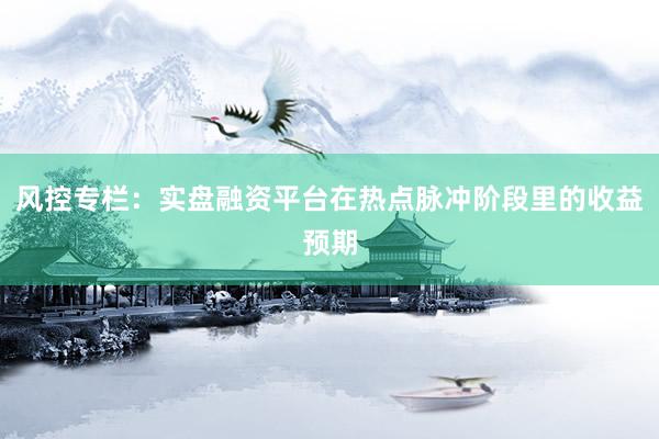 风控专栏：实盘融资平台在热点脉冲阶段里的收益预期