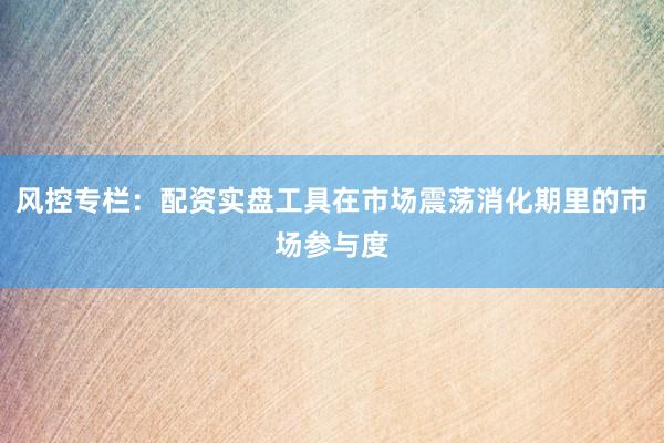 风控专栏：配资实盘工具在市场震荡消化期里的市场参与度