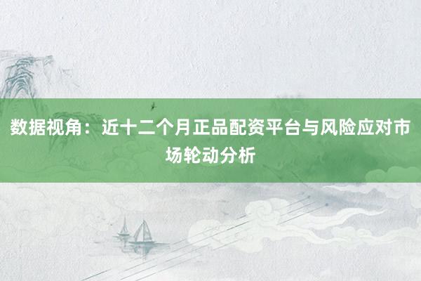 数据视角：近十二个月正品配资平台与风险应对市场轮动分析
