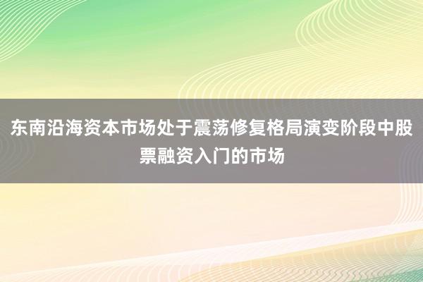 东南沿海资本市场处于震荡修复格局演变阶段中股票融资入门的市场