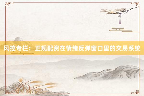 风控专栏：正规配资在情绪反弹窗口里的交易系统
