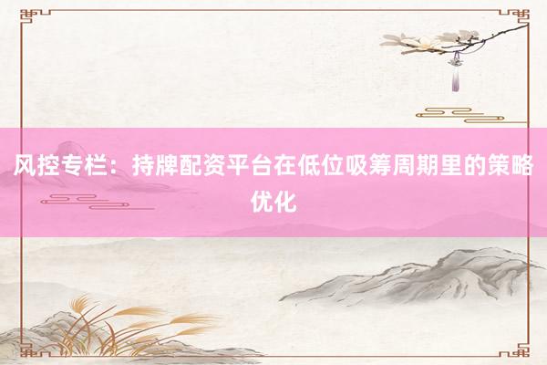 风控专栏：持牌配资平台在低位吸筹周期里的策略优化