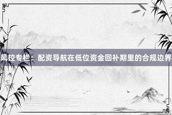 风控专栏：配资导航在低位资金回补期里的合规边界