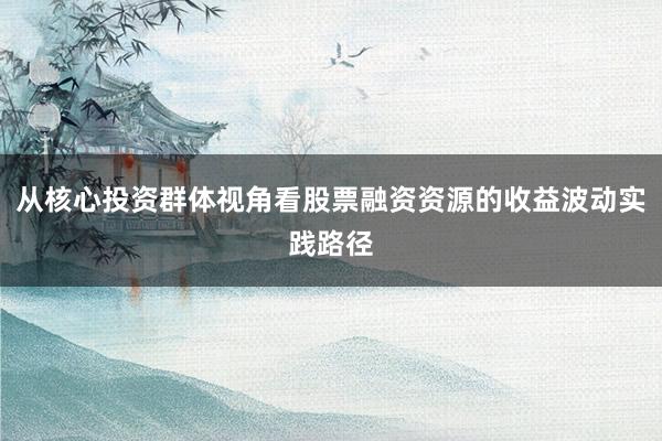 从核心投资群体视角看股票融资资源的收益波动实践路径