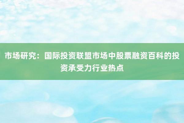 市场研究：国际投资联盟市场中股票融资百科的投资承受力行业热点