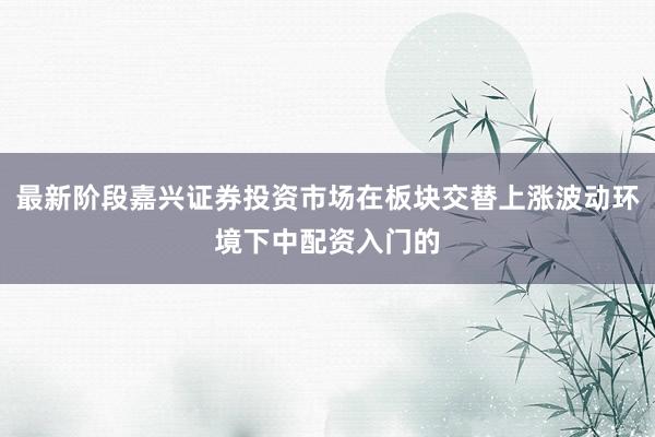 最新阶段嘉兴证券投资市场在板块交替上涨波动环境下中配资入门的