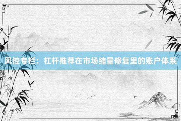 风控专栏：杠杆推荐在市场缩量修复里的账户体系