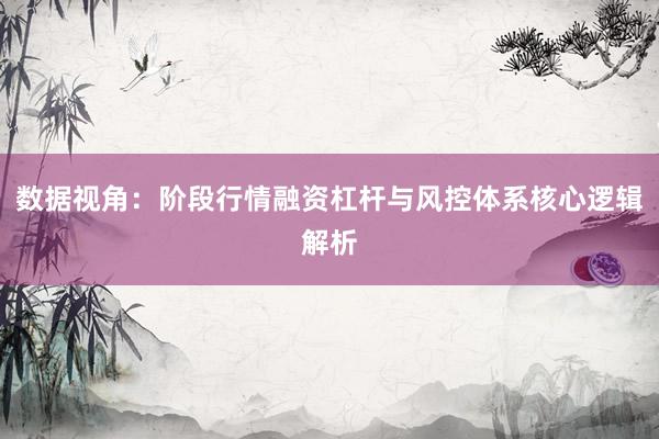 数据视角：阶段行情融资杠杆与风控体系核心逻辑解析