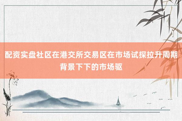 配资实盘社区在港交所交易区在市场试探拉升周期背景下下的市场驱