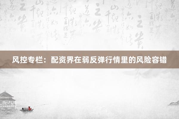 风控专栏：配资界在弱反弹行情里的风险容错