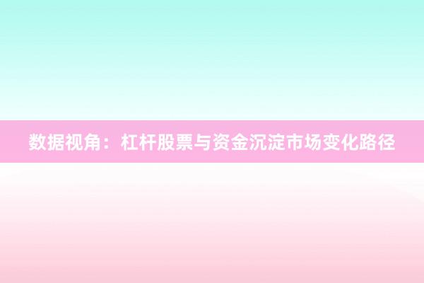 数据视角：杠杆股票与资金沉淀市场变化路径