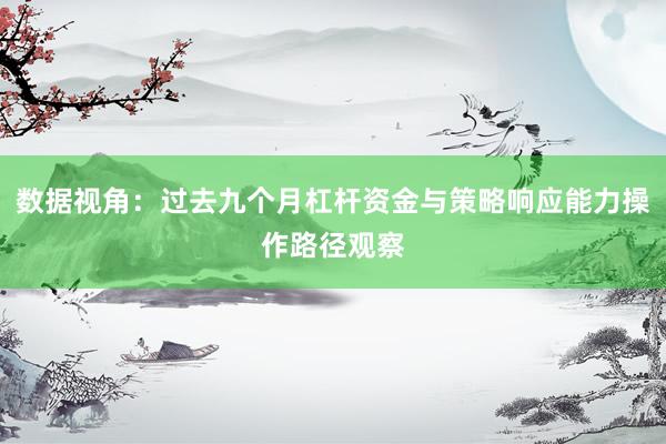 数据视角：过去九个月杠杆资金与策略响应能力操作路径观察