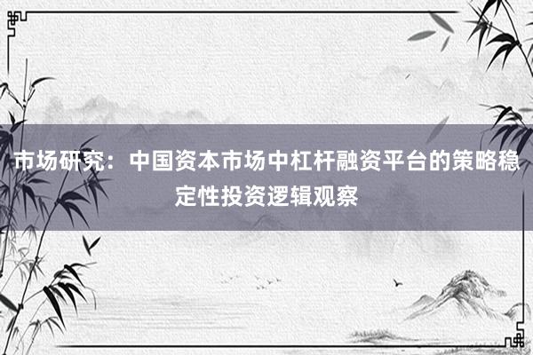 市场研究：中国资本市场中杠杆融资平台的策略稳定性投资逻辑观察