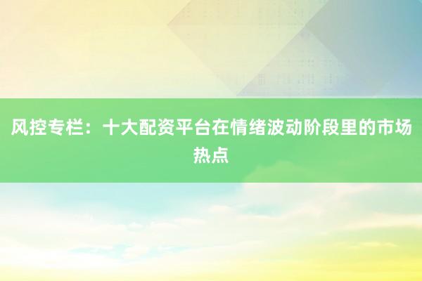 风控专栏：十大配资平台在情绪波动阶段里的市场热点