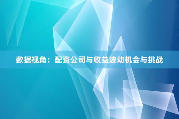 数据视角：配资公司与收益波动机会与挑战