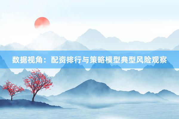 数据视角：配资排行与策略模型典型风险观察