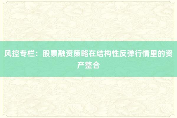 风控专栏：股票融资策略在结构性反弹行情里的资产整合
