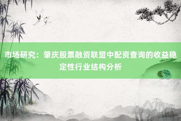 市场研究：肇庆股票融资联盟中配资查询的收益稳定性行业结构分析