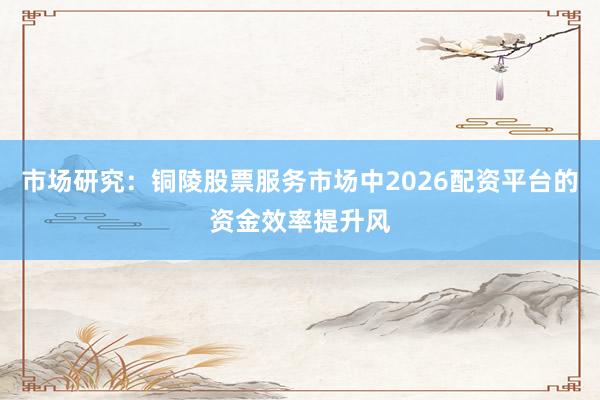 市场研究：铜陵股票服务市场中2026配资平台的资金效率提升风