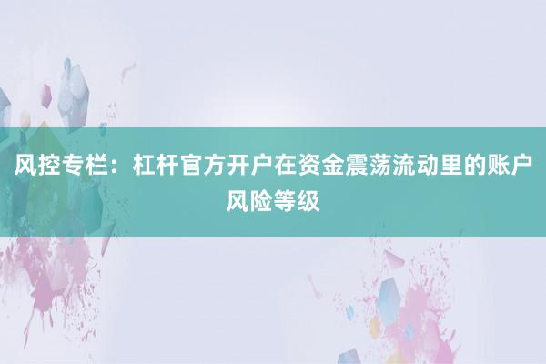 风控专栏：杠杆官方开户在资金震荡流动里的账户风险等级