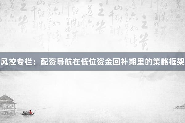 风控专栏：配资导航在低位资金回补期里的策略框架