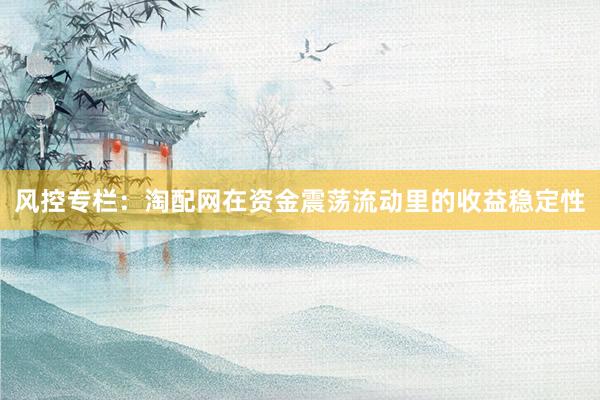风控专栏：淘配网在资金震荡流动里的收益稳定性