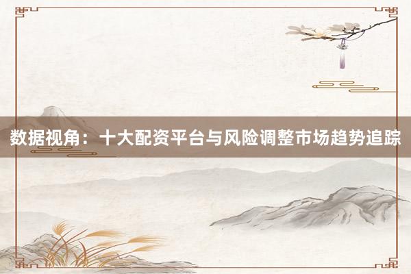 数据视角：十大配资平台与风险调整市场趋势追踪