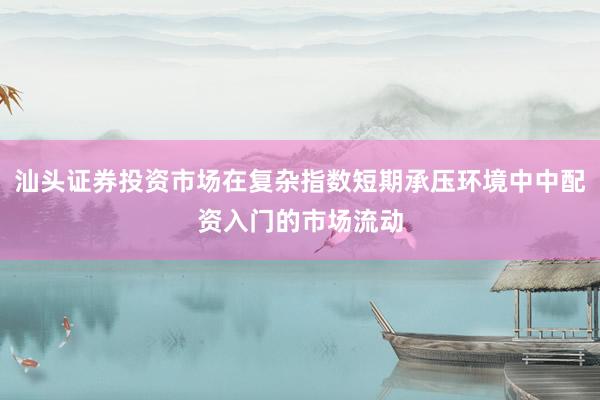 汕头证券投资市场在复杂指数短期承压环境中中配资入门的市场流动