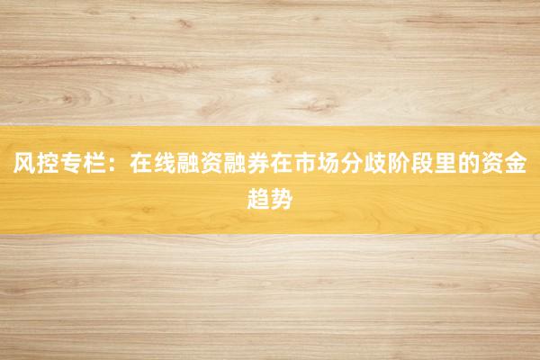 风控专栏：在线融资融券在市场分歧阶段里的资金趋势