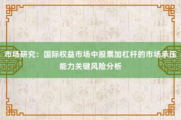 市场研究：国际权益市场中股票加杠杆的市场承压能力关键风险分析