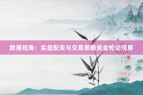 数据视角：实盘配资与交易策略资金轮动观察