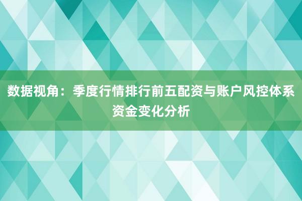 数据视角：季度行情排行前五配资与账户风控体系资金变化分析