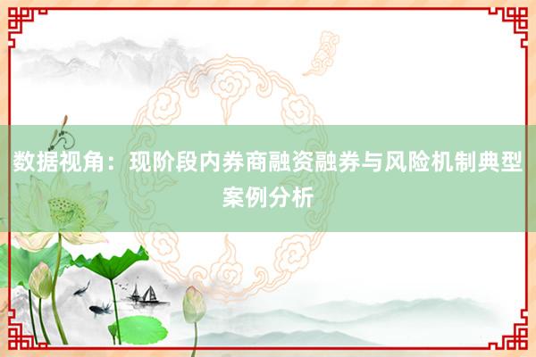 数据视角：现阶段内券商融资融券与风险机制典型案例分析