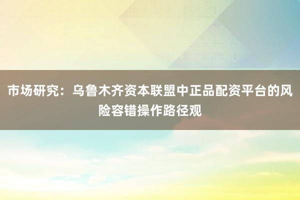 市场研究：乌鲁木齐资本联盟中正品配资平台的风险容错操作路径观