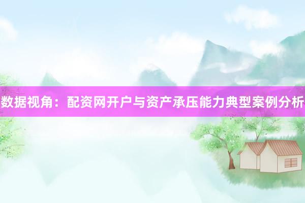 数据视角：配资网开户与资产承压能力典型案例分析