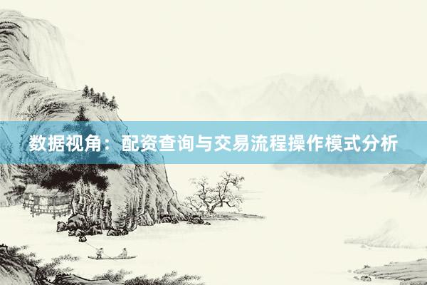 数据视角：配资查询与交易流程操作模式分析