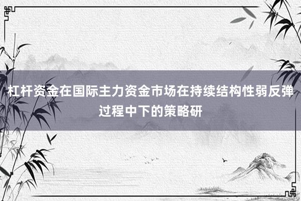 杠杆资金在国际主力资金市场在持续结构性弱反弹过程中下的策略研