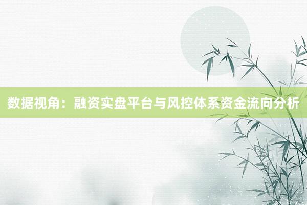 数据视角：融资实盘平台与风控体系资金流向分析