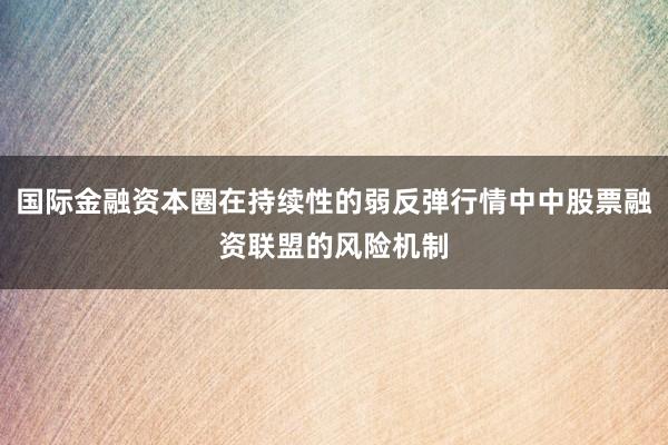 国际金融资本圈在持续性的弱反弹行情中中股票融资联盟的风险机制