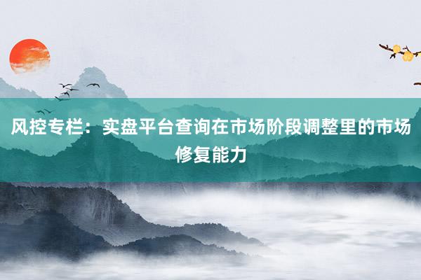 风控专栏：实盘平台查询在市场阶段调整里的市场修复能力